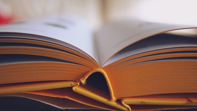 Como Criar uma Capa Profissional para seu Ebook com Estas Cinco Dicas Infalíveis